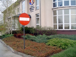 Jesień 1
