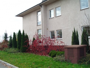 Jesień 2