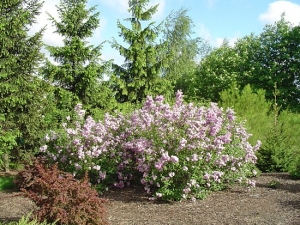 Wiosna 2