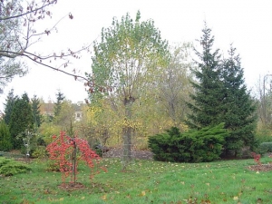 Jesień 6
